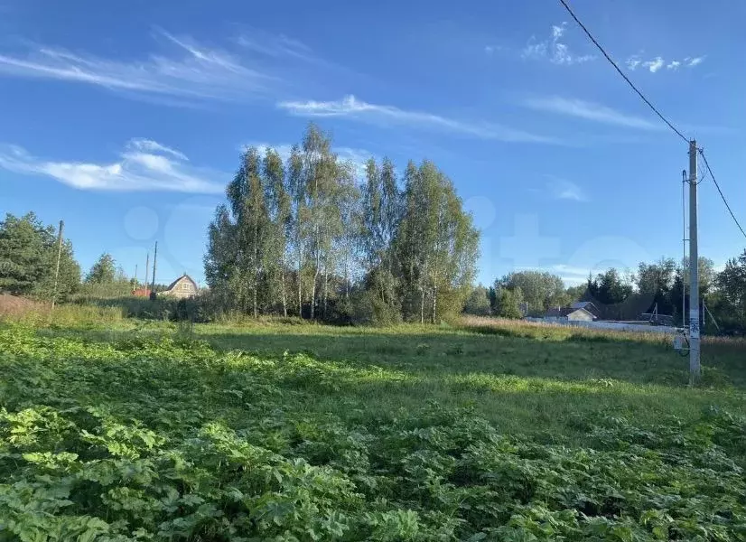 Участок 11 сот. (ИЖС) - Фото 0