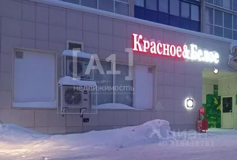 Помещение свободного назначения в Челябинская область, Челябинск ул. ... - Фото 1