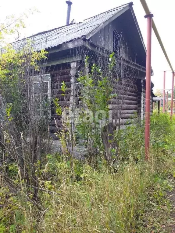 Участок в Новосибирская область, Новосибирский район, с. Кубовая  ... - Фото 0