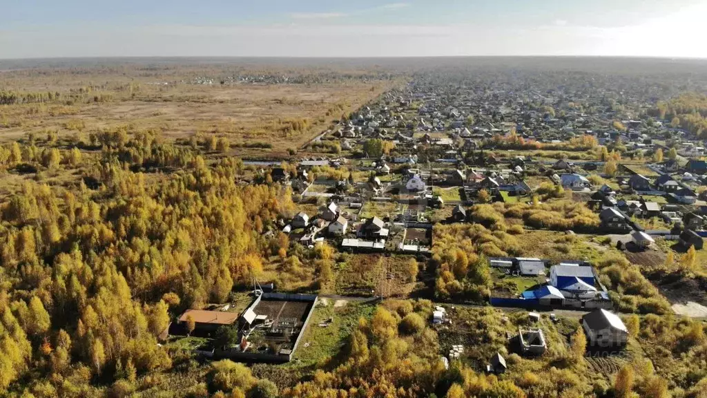 Участок в Тюменская область, Тюмень Липовый Остров СНТ, ул. 11-я ... - Фото 1