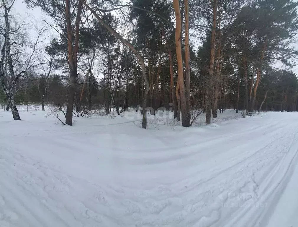 Участок в Кемеровская область, Кемеровский муниципальный округ, с. ... - Фото 1