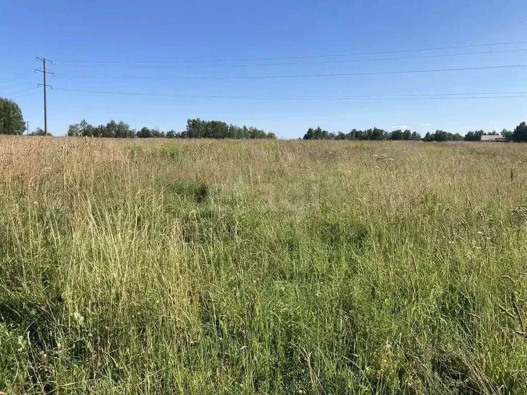 Участок в Костромская область, Красное-на-Волге городское поселение, ... - Фото 0