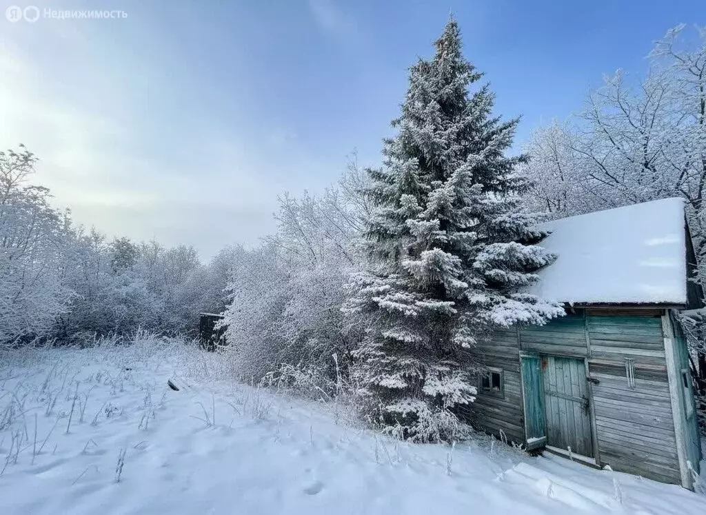 Участок в Казань, СТ Сад Казанского железнодорожного узла (7.16 м) - Фото 1