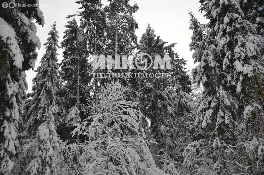 Участок в Московская область, Дмитровский муниципальный округ, деревня ... - Фото 0