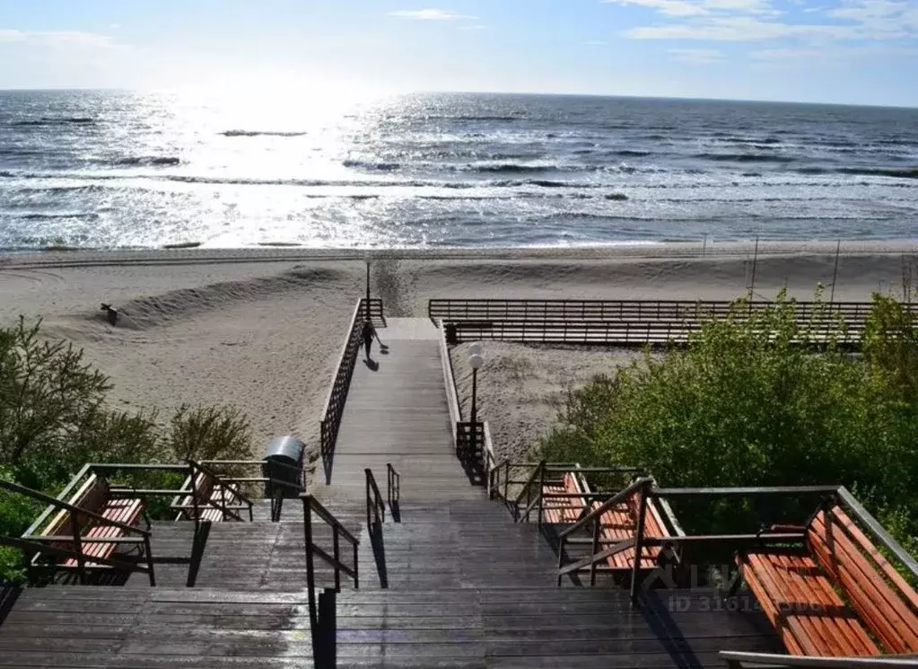 2-к кв. Калининградская область, Янтарный пгт ул. Советская, 124 (52.2 ... - Фото 1