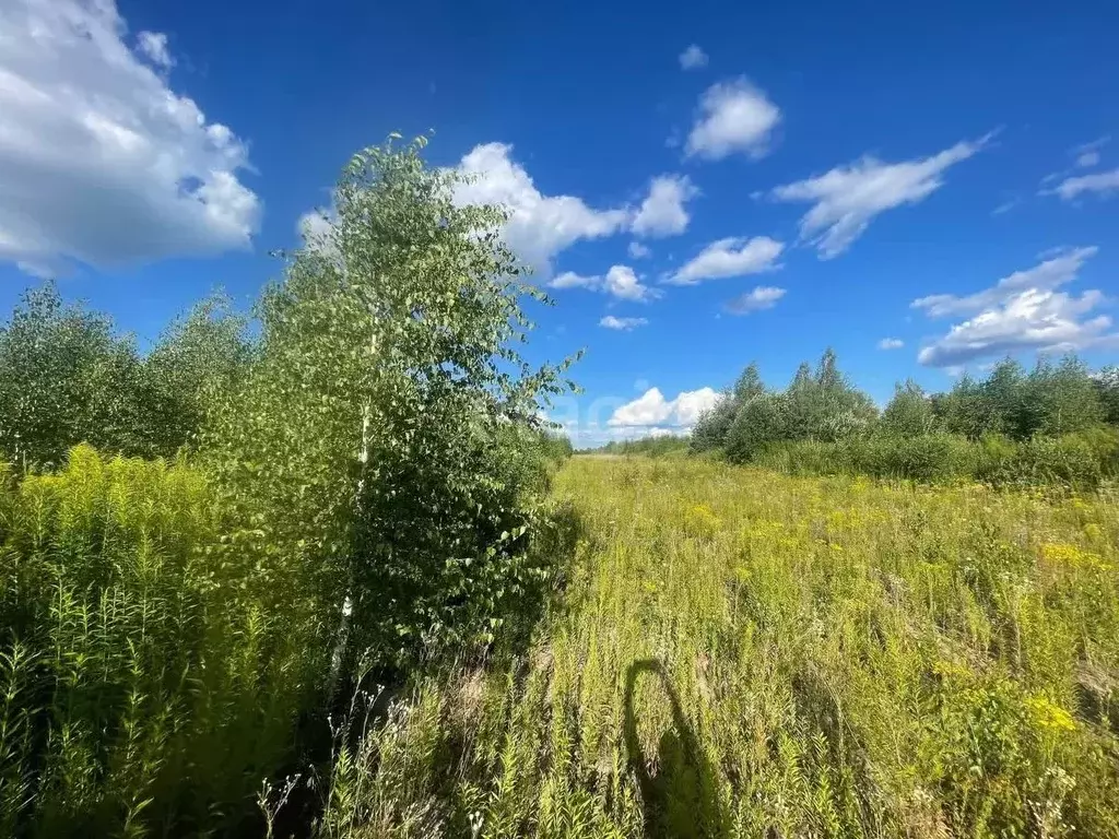 участок в нижегородская область, кстовский муниципальный округ, с. . - Фото 1