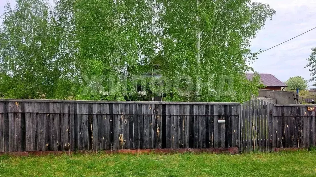 Участок в Новосибирская область, Ордынский район, с. Красный Яр ул. ... - Фото 1