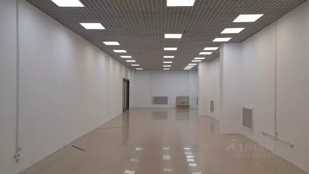 Торговая площадь в Владимирская область, Владимир ул. Куйбышева, 16А ... - Фото 1