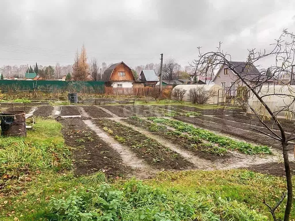 Дача 15 м на участке 11 сот. - Фото 0