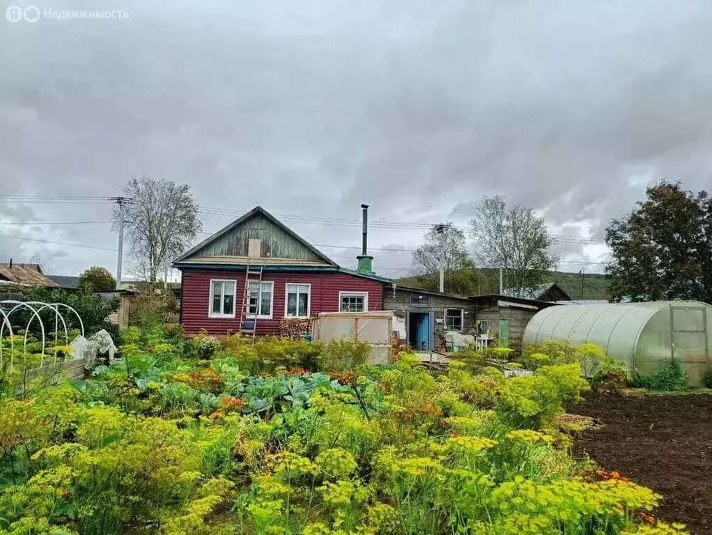 Дом в Николаевск-на-Амуре, Полярная улица, 50А (39 м) - Фото 2