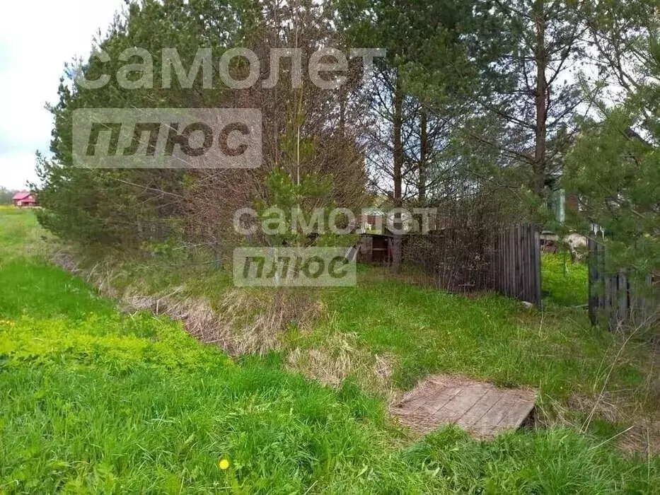 Участок в Вологодская область, с. Неверовское  (16.0 сот.) - Фото 2