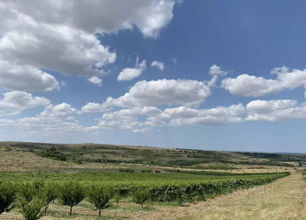 Участок в Краснодарский край, Анапа муниципальный округ, пос. Уташ ул. ... - Фото 1