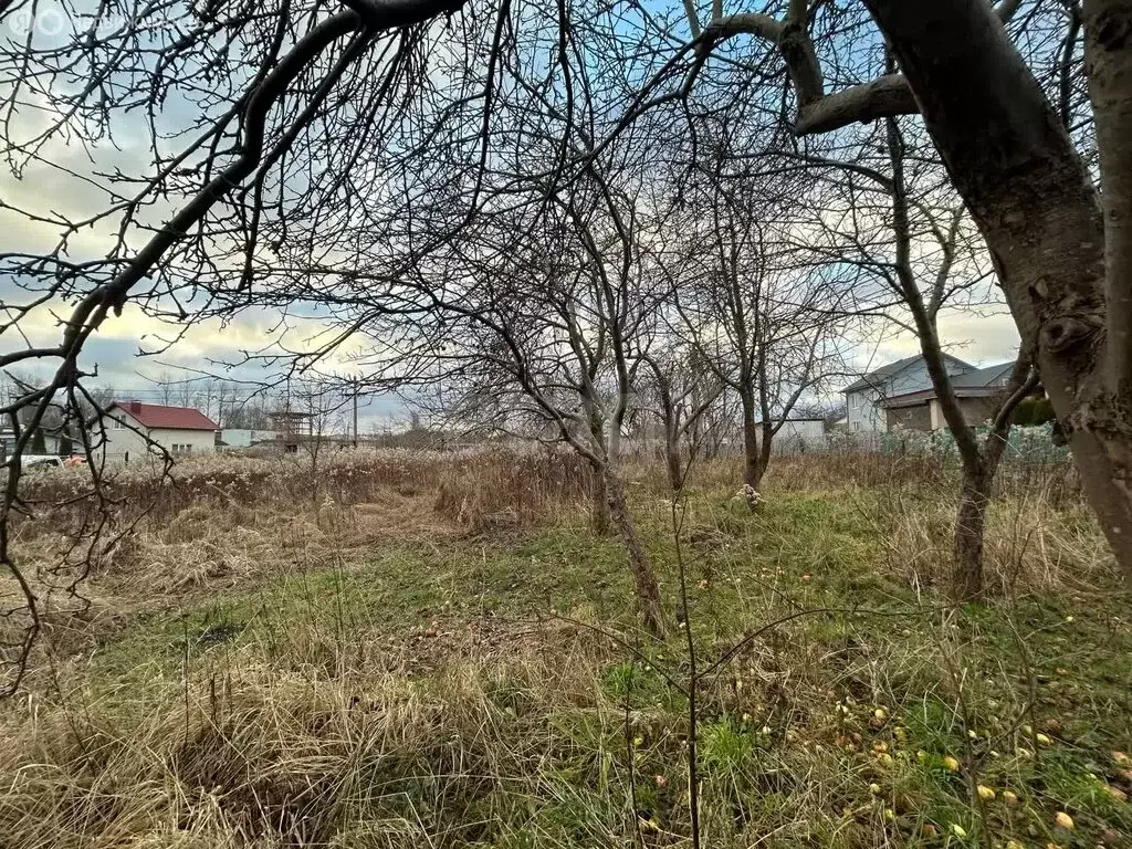 Участок в Калининград, СНТ Родник, Центральная улица (11.92 м) - Фото 1