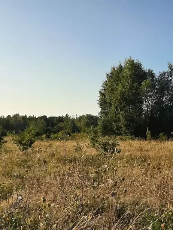 Участок в Калининградская область, Багратионовский муниципальный ... - Фото 2