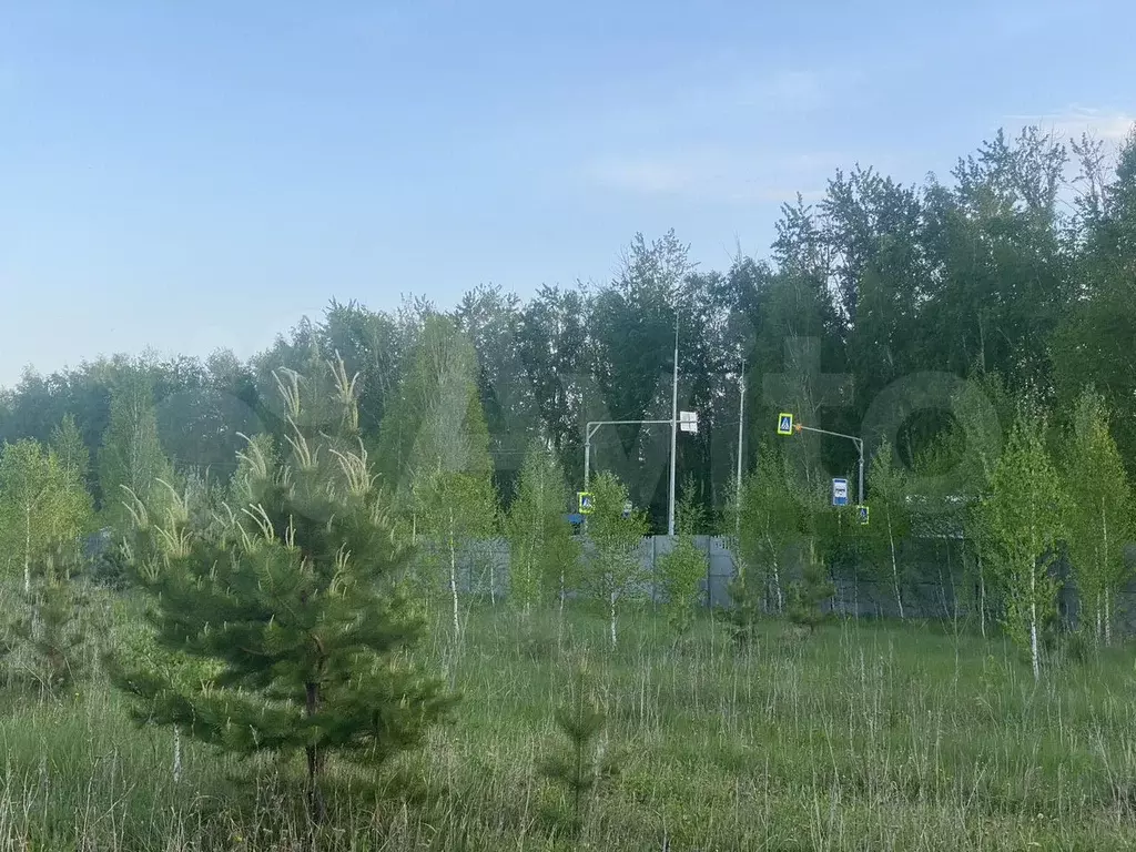 Участок 8 сот. (ИЖС) - Фото 0