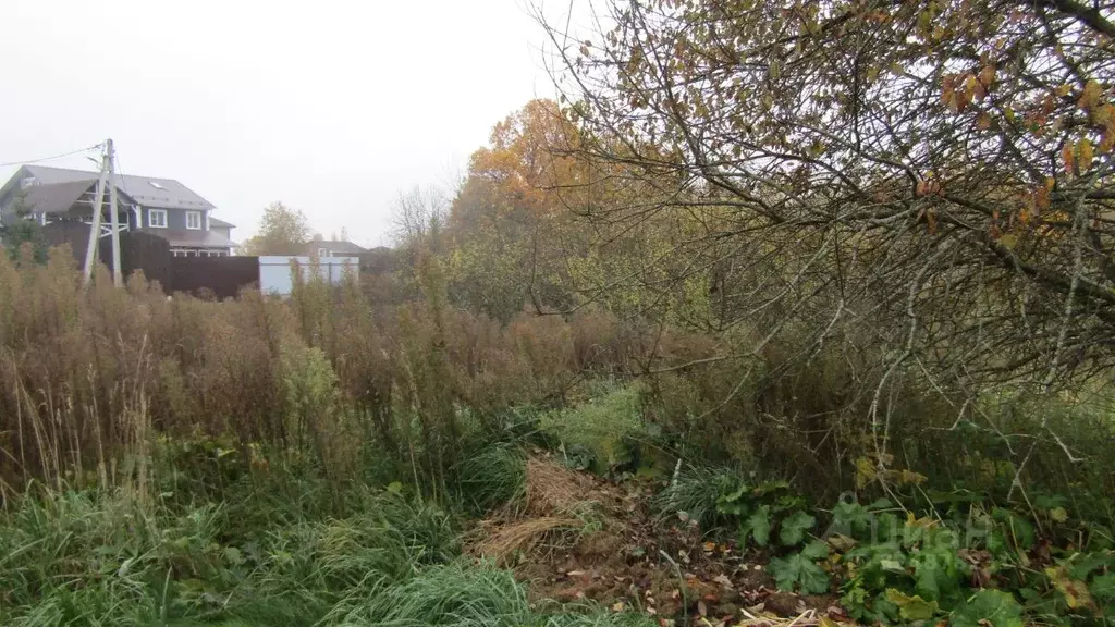 Участок в Московская область, Рузский муниципальный округ, д. ... - Фото 1