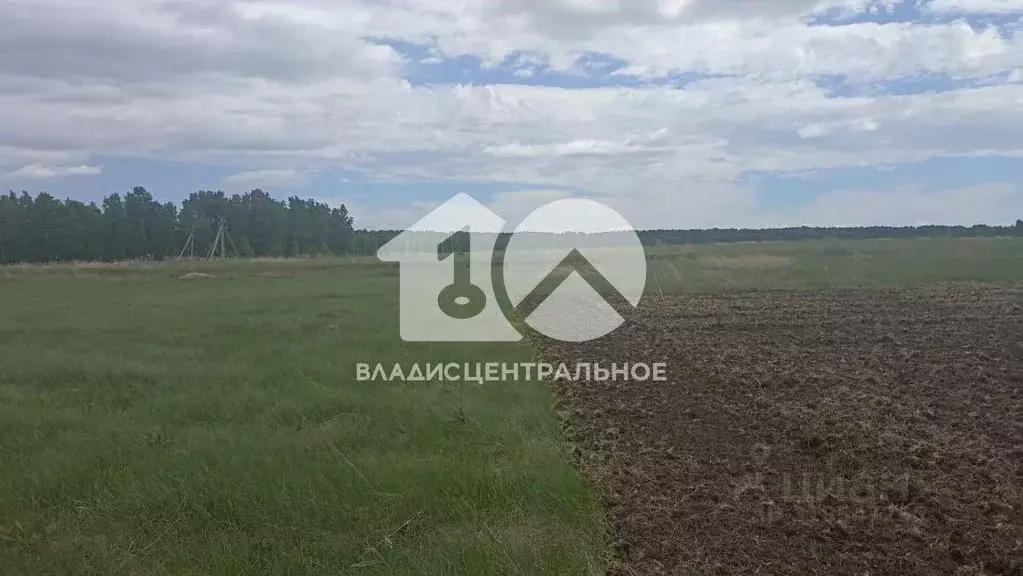 Участок в Новосибирская область, Новосибирский район, с. Верх-Тула ул. ... - Фото 0
