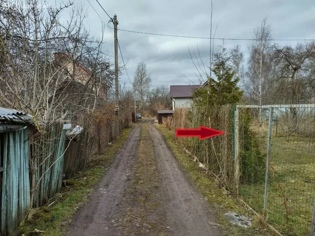 Участок в Калининград, СТ Дружба-Девау, улица Надежды (9 м) - Фото 2