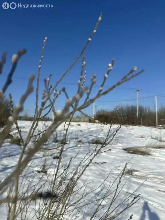 Участок в Московская область, муниципальный округ Истра, посёлок ... - Фото 1