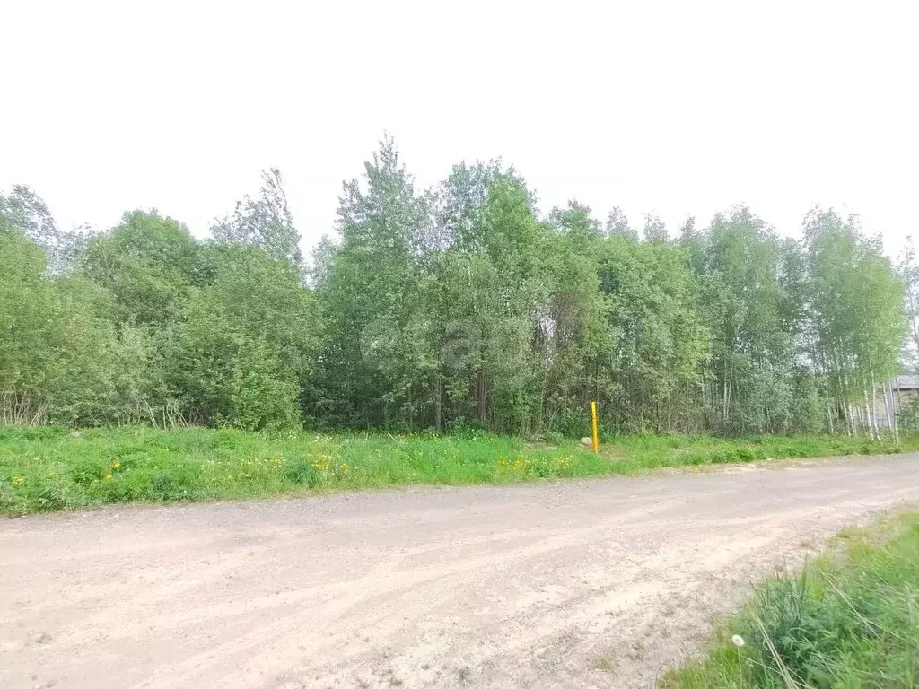 Участок в Вологодская область, Череповец 31-й мкр,  (7.6 сот.) - Фото 0
