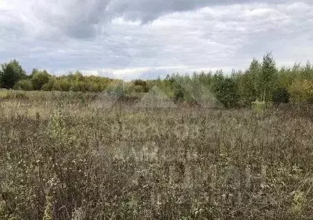 Участок в Нижегородская область, Богородский муниципальный округ, д. ... - Фото 0