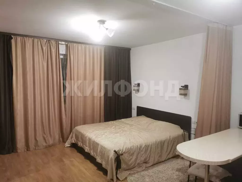 Студия Новосибирская область, Новосибирск ул. Татьяны Снежиной, 29 ... - Фото 1