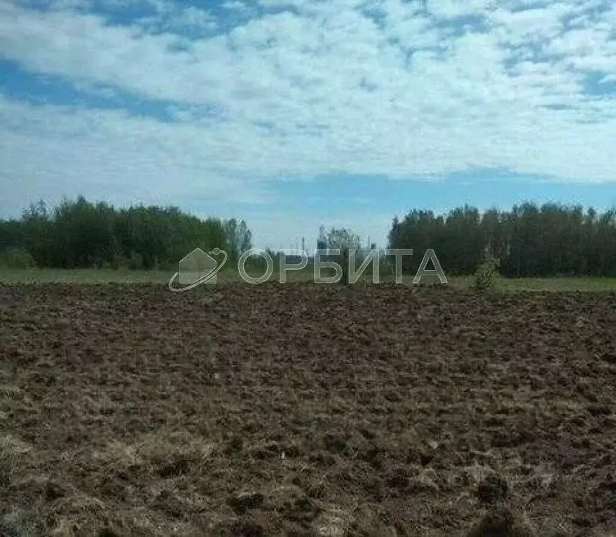 Участок в Тюменская область, Тюменский район, с. Ембаево  (10.2 сот.) - Фото 1