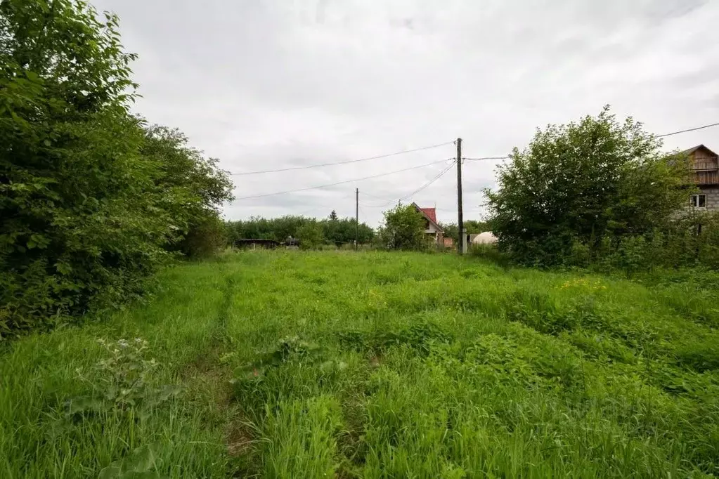 Участок в Иркутская область, Иркутск Черемуховая ул., 13 (10.0 сот.) - Фото 1