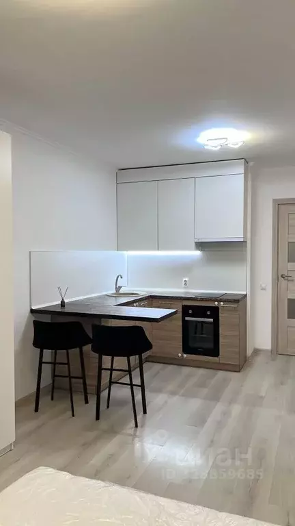 Студия Ленинградская область, Ломоносовский район, Виллозское ... - Фото 2