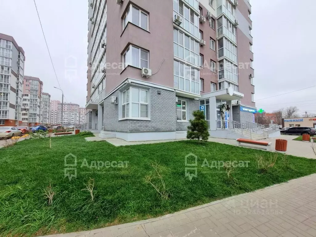 2-к кв. Волгоградская область, Волгоград ул. Гаря Хохолова, 2 (53.6 м) - Фото 2