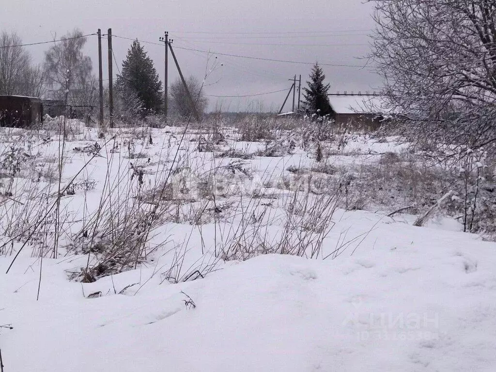 Участок в Вологодская область, д. Нагорное  (11.49 сот.) - Фото 1