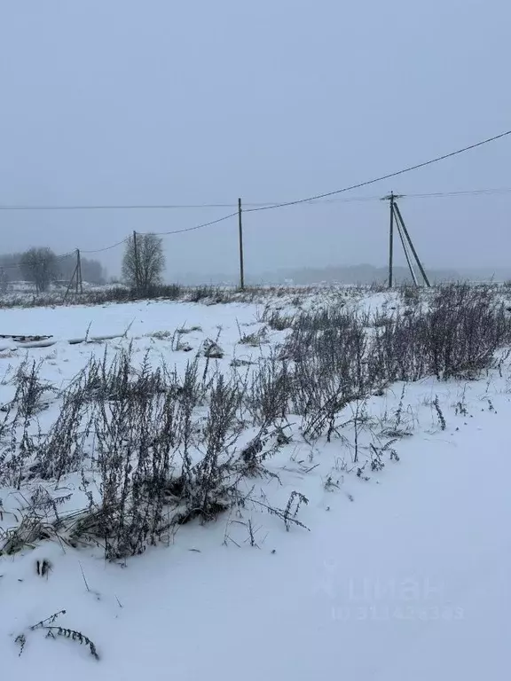 Участок в Ленинградская область, Ломоносовский район, Лопухинское ... - Фото 1