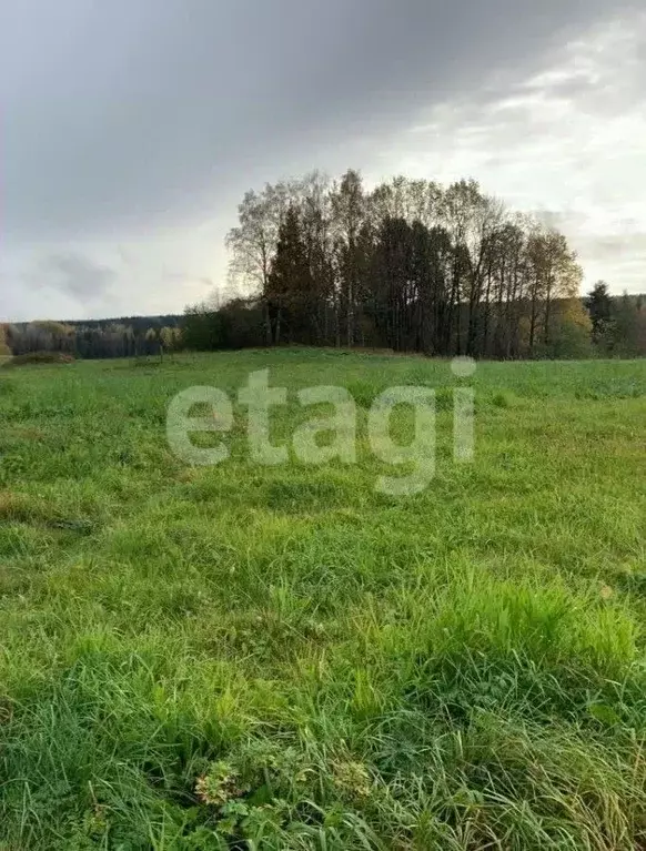 Участок в Тульская область, Тула муниципальное образование, д. Харино  ... - Фото 0