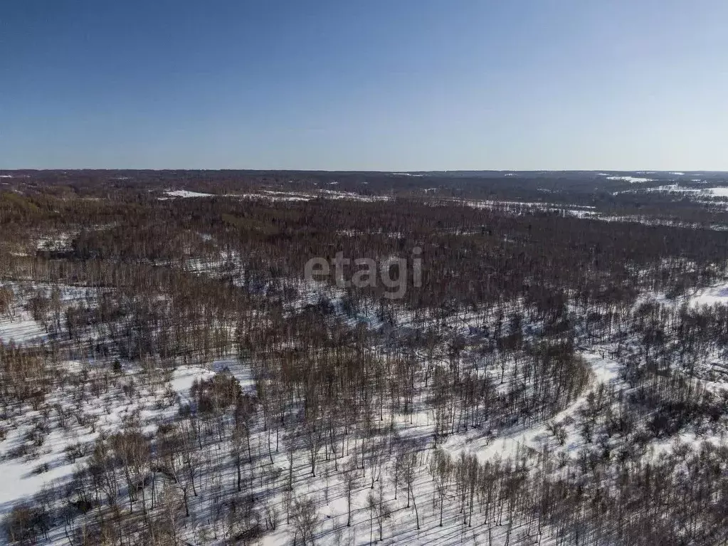 Участок в Новосибирская область, Здвинский район, с. Березовка  (500.0 ... - Фото 1