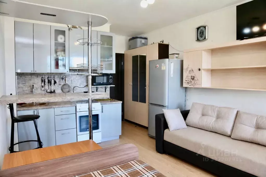 Студия Санкт-Петербург просп. Ветеранов, 169к2 (23.9 м) - Фото 1
