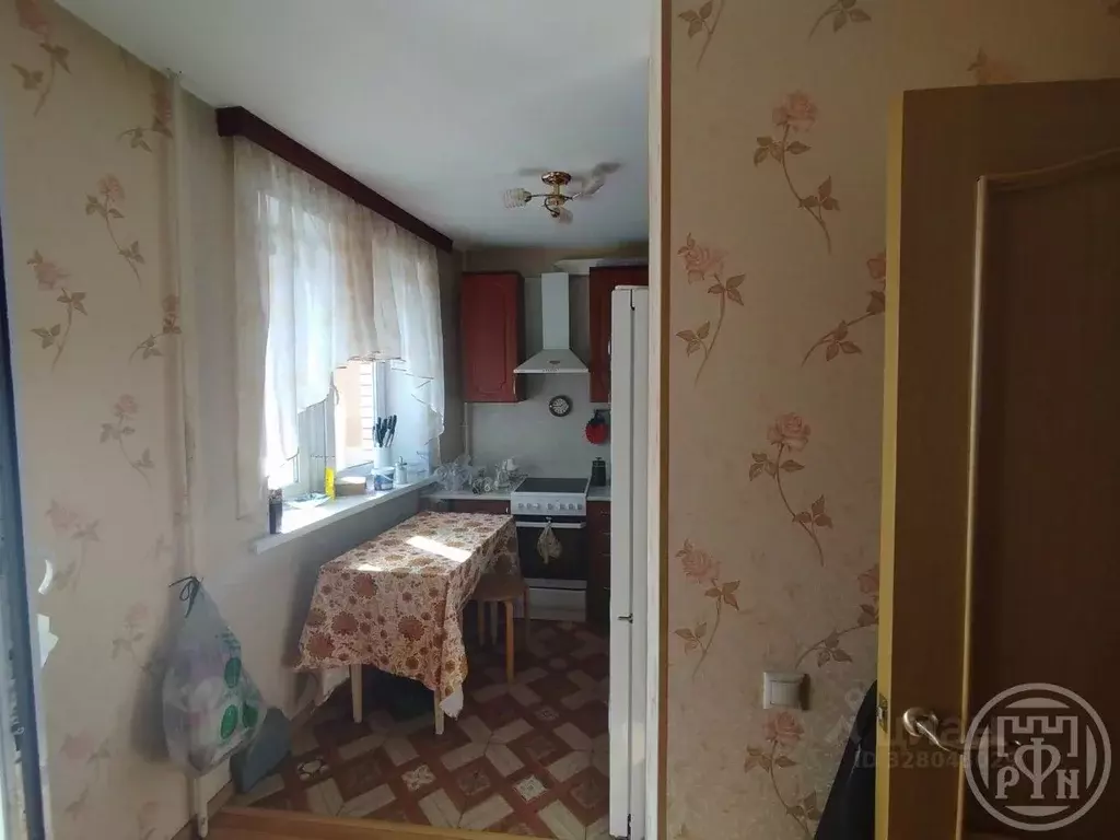 Студия Санкт-Петербург пос. Парголово, ул. Федора Абрамова, 4 (27.6 м) - Фото 2