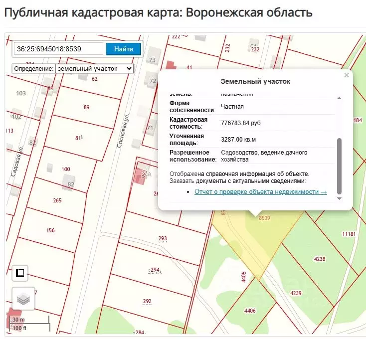 Участок в Воронежская область, Рамонский район, с. Новоживотинное  ... - Фото 2