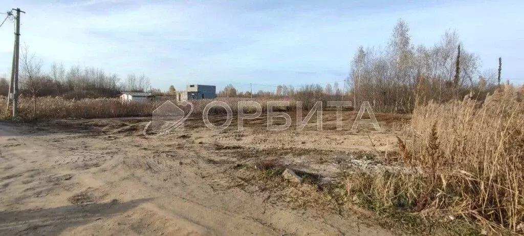 Участок в Тюменская область, Тюмень Поле Чудес садовое товарищество, ... - Фото 1