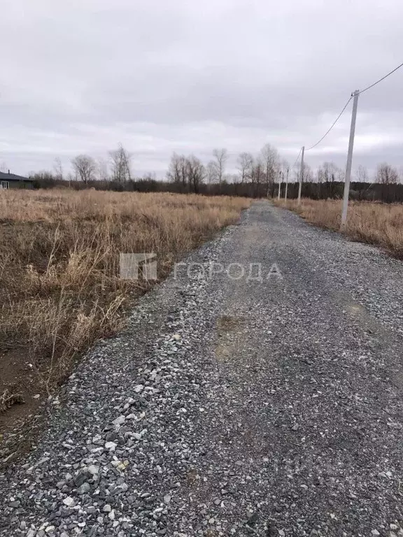 Участок в Новосибирская область, Новосибирский район, с. Кубовая, пос. ... - Фото 0