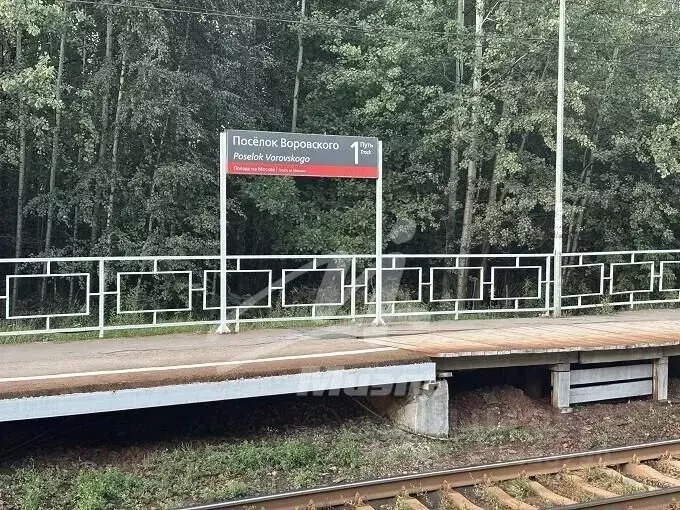 Дом в Московская область, Богородский городской округ, Звезда СНТ ул. ... - Фото 2