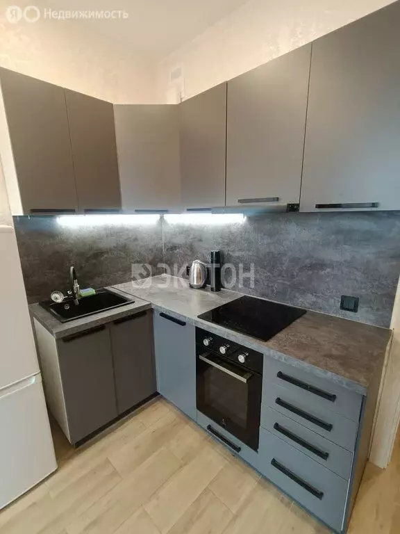 Квартира-студия: посёлок Шушары, Старорусский проспект, 8к1 (23.2 м) - Фото 1