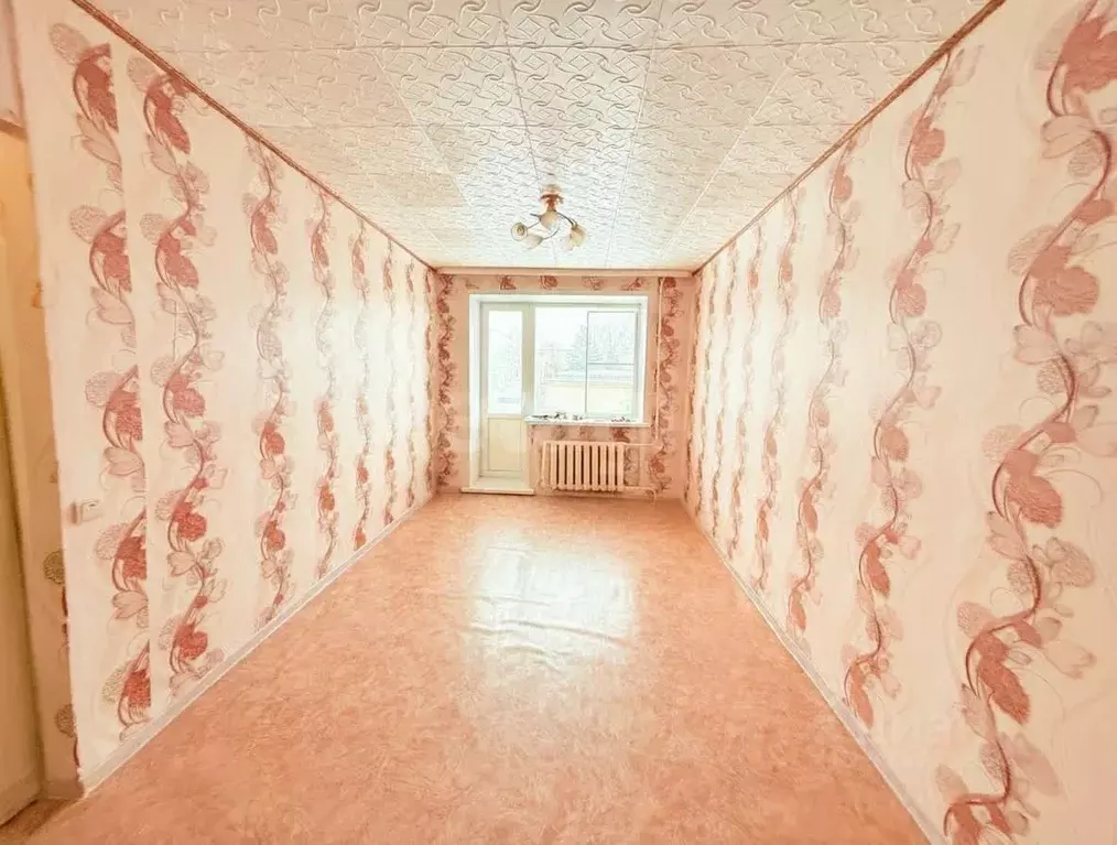 1-к кв. Владимирская область, Петушки ул. Строителей, 8 (29.5 м) - Фото 1