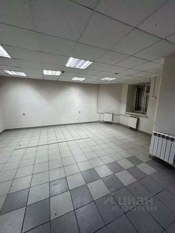 Торговая площадь в Чувашия, Новочебоксарск ул. Винокурова, 66 (62 м) - Фото 1