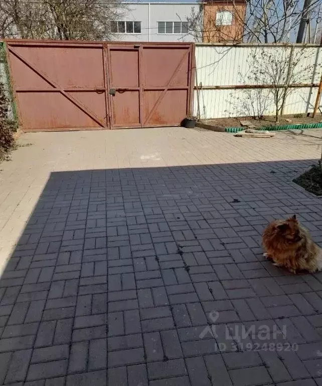 Дом в Ростовская область, Батайск Труд ДНТ, ул. Нольная (70 м) - Фото 2