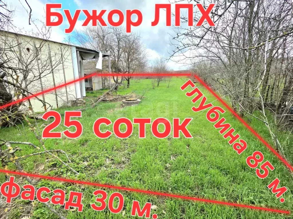 Участок в Краснодарский край, Анапа муниципальный округ, с. Бужор ул. ... - Фото 1