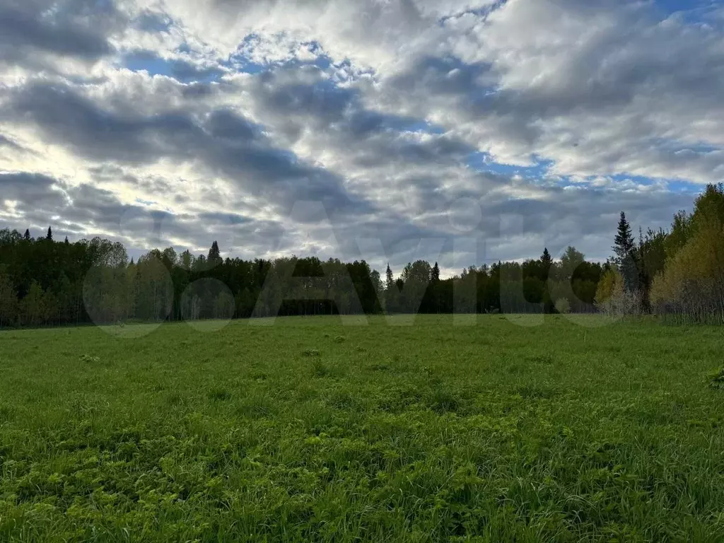 Участок 3,4 га (СНТ, ДНП) - Фото 1