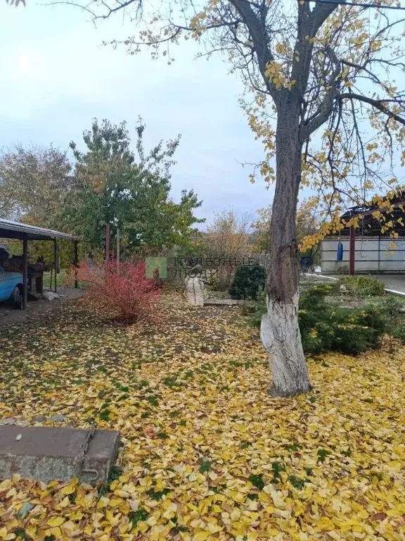 Участок в Ростовская область, Октябрьский район, Каменоломни рп Кривой ... - Фото 2