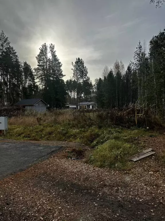 Участок в Свердловская область, Сысертский муниципальный округ, пос. ... - Фото 2