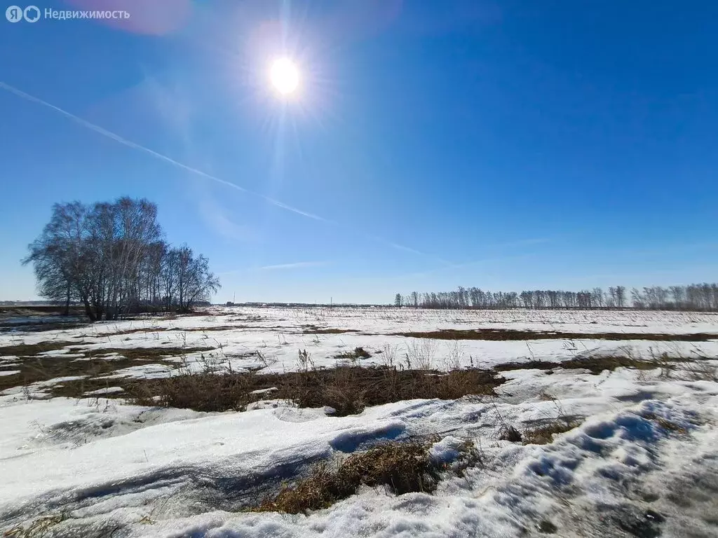 Участок в муниципальный округ Омский район, село Дружино (1424 м) - Фото 1