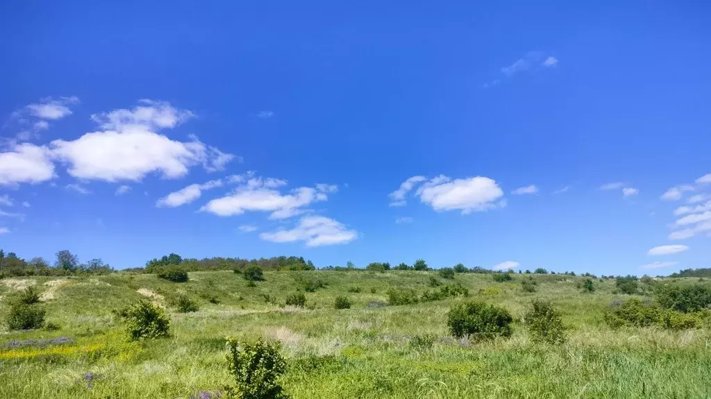 Участок в Саратовская область, Вольск Крайняя ул., 1 (10.0 сот.) - Фото 0